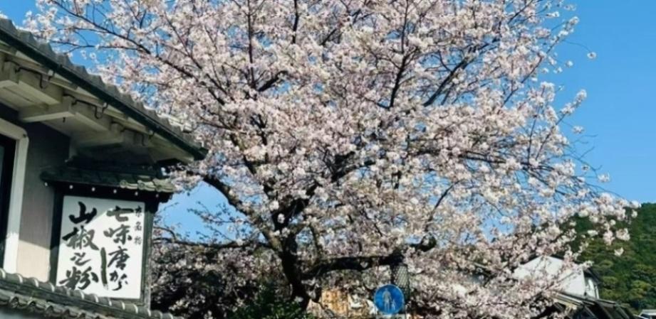 日本老人“孤独死”问题加剧：逾7.6万独居者家中离世，部分遗体一年后才被发现  新闻封面