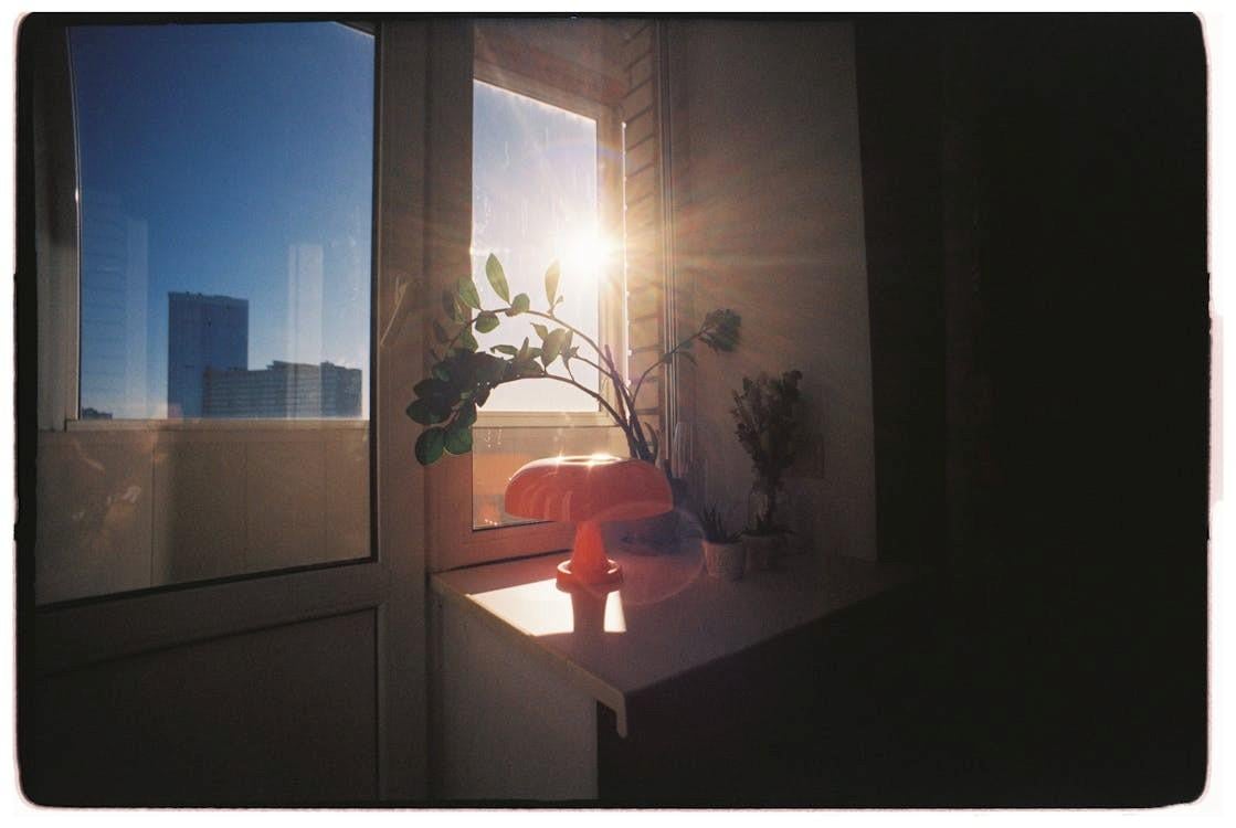 襄阳条件优越养老院最新排名：十大优质机构深度解析新闻封面