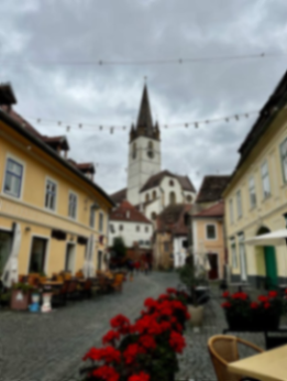 洛阳重度失能老人养老机构怎么选？5家专业护理机构推荐​新闻封面