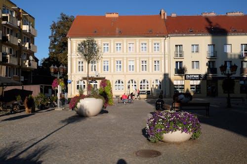 宁波养老院前十名，宁波优质养老院前十名排行榜推荐新闻封面