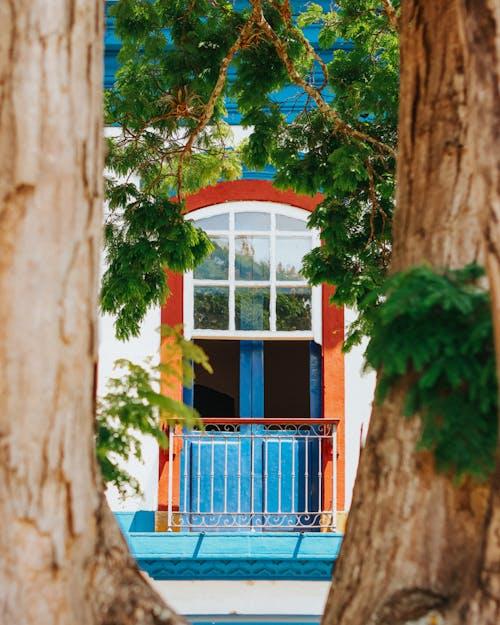 2025日照带医疗养老院精选：四家医养机构，守护长者健康晚年​新闻封面