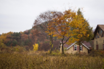 北京最顶级的养老院，北京最贵的三个养老院是什么样的？新闻封面