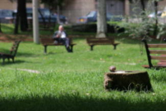 绵阳正规养老院，绵阳游仙区正规养老机构名单一览​新闻封面