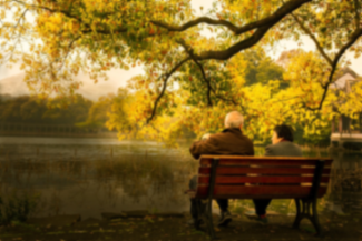 连云港连云区养老选哪家？2 家机构（福利院 + 康复中心）深度解析新闻封面