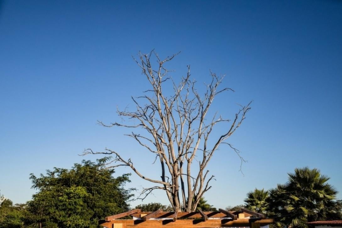 上海 10 家社区临终关怀医院服务详情全解析新闻封面