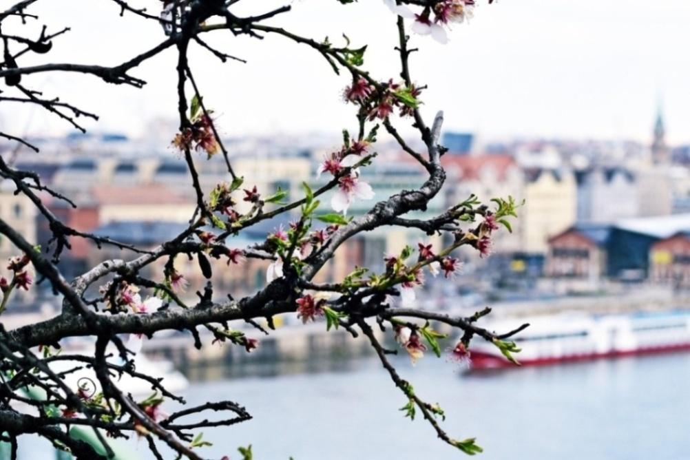 医养结合新政落地 基层转型守护失能老人新闻封面