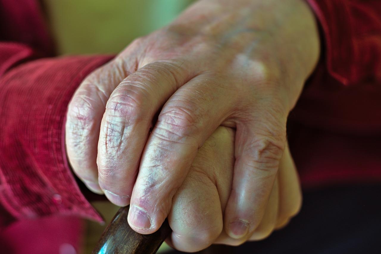 潍坊卫健系统护航养老服务条例落地新闻封面