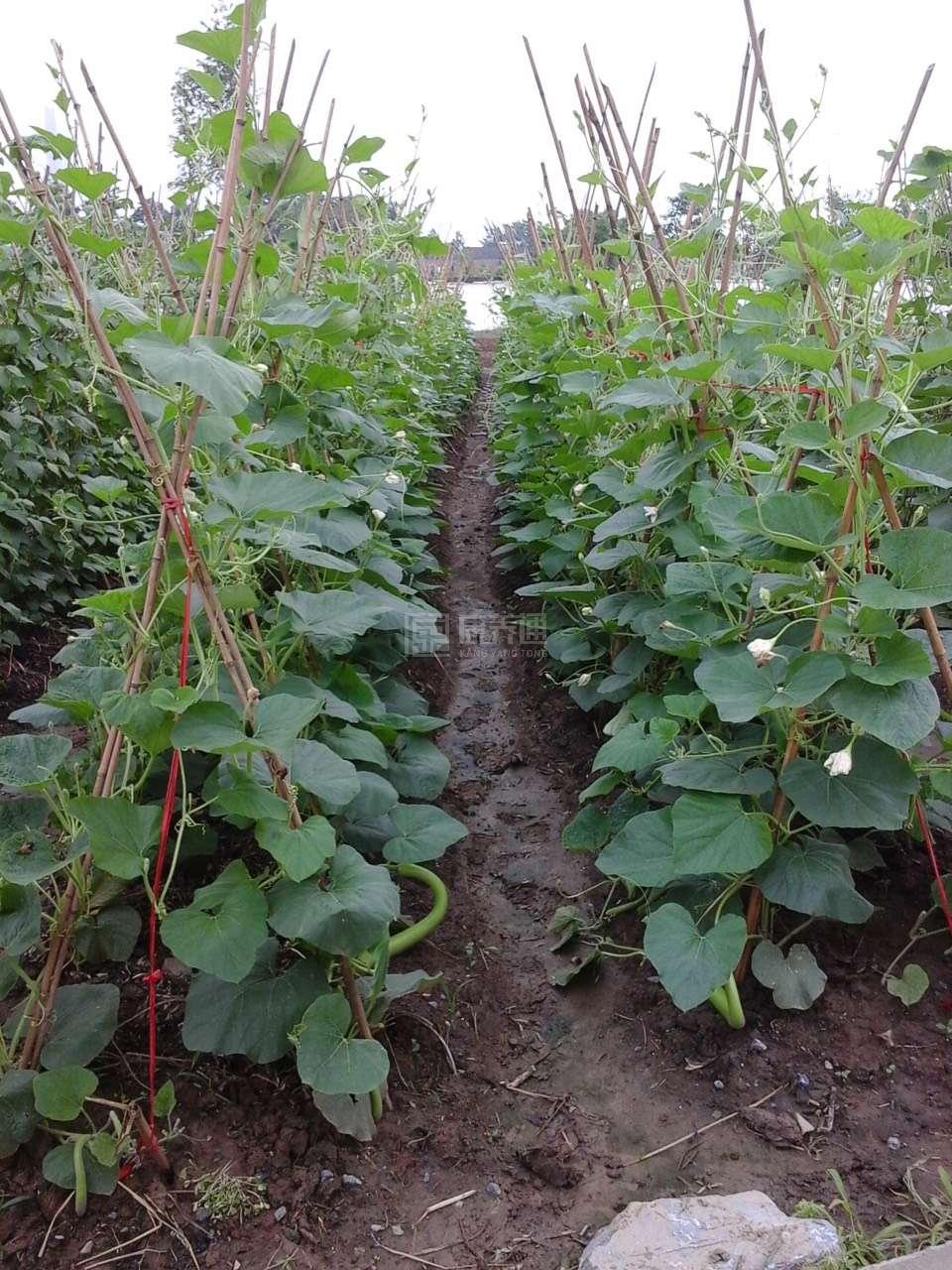 铜陵市义安区东联养老服务中心环境图-休息区