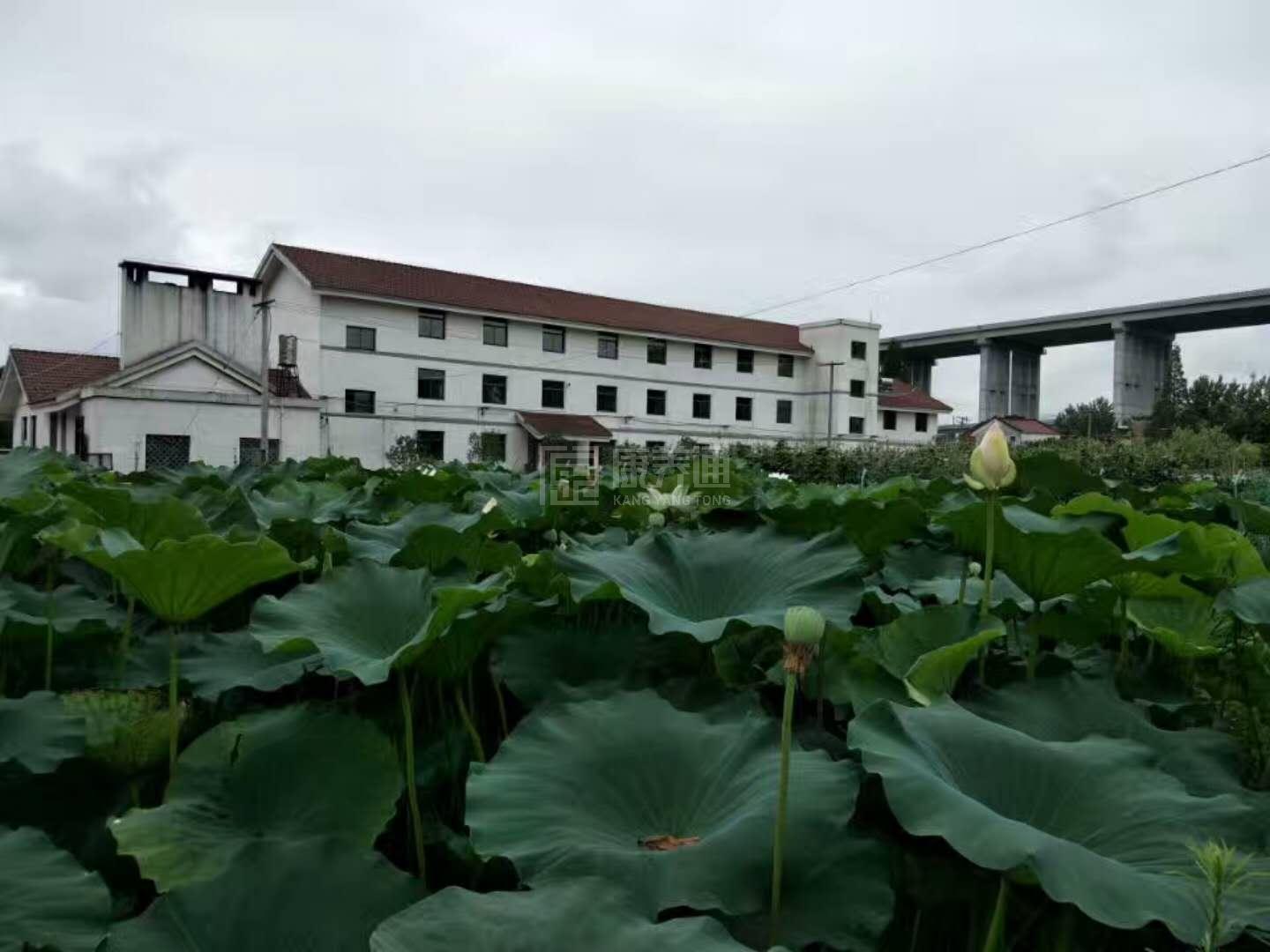 铜陵市义安区东联养老服务中心环境图-走廊