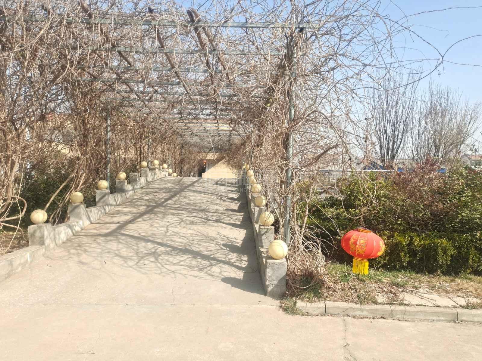 安康老年公寓关于我们-轮播图2