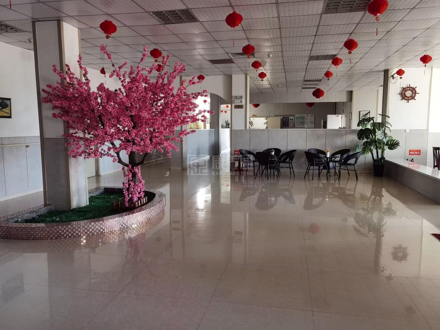 庆安县颐康园养老中心服务项目图6让长者体面而尊严地生活