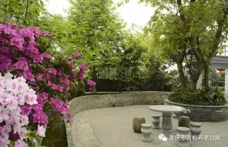 重庆市南岸区青松养老公寓服务项目图6让长者体面而尊严地生活