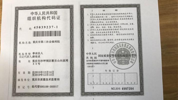重庆市第三社会福利院机构封面
