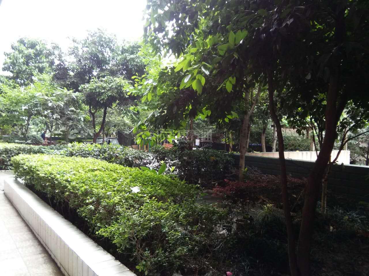 重庆市九龙坡区幸福岭老年公寓环境图-阳台