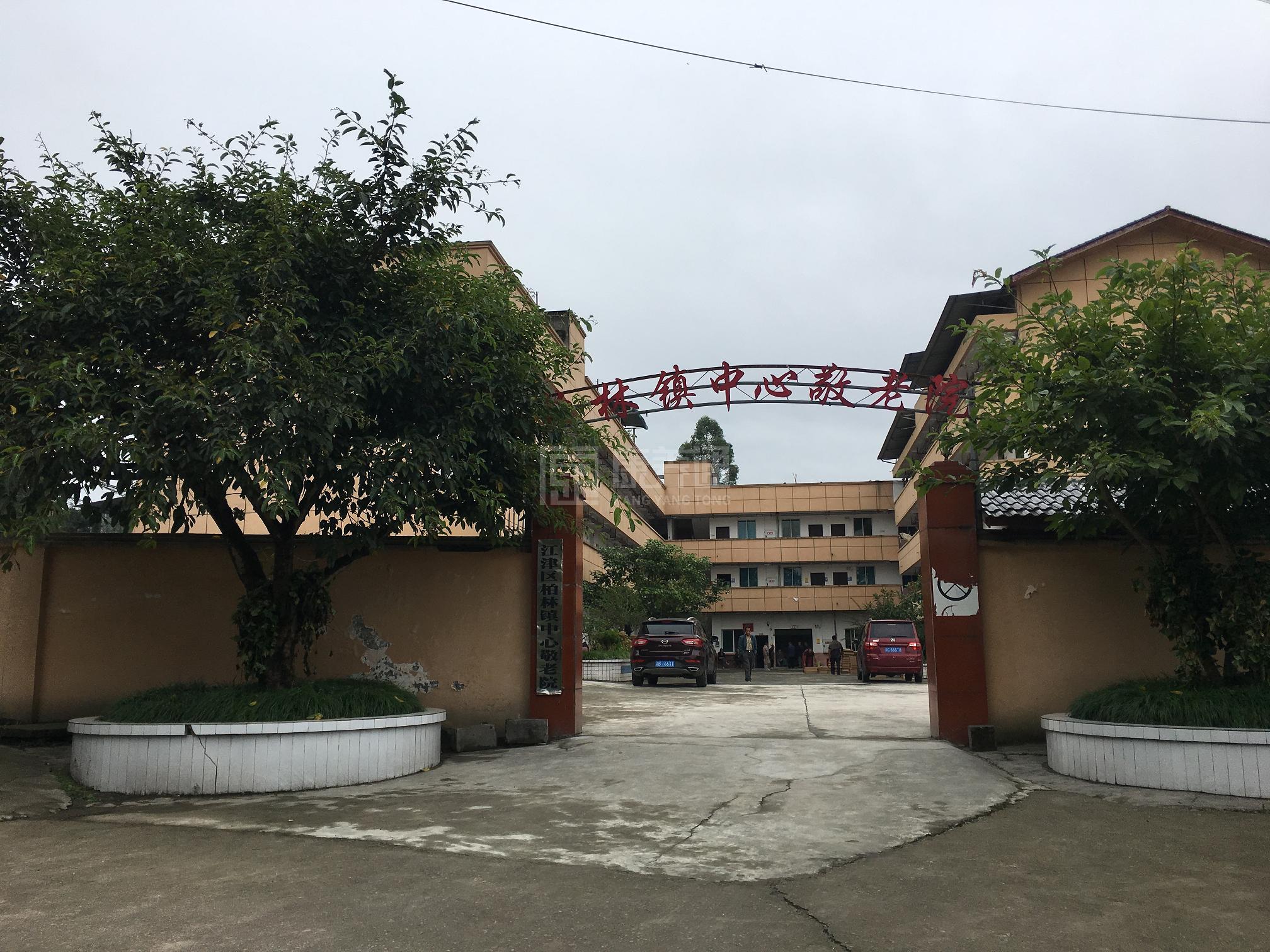 重庆市江津区柏林镇中心敬老院服务项目图3惬意的环境、感受岁月静好