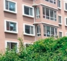 辽宁省丹东市养老院有哪些?辽宁省丹东市新闻封面