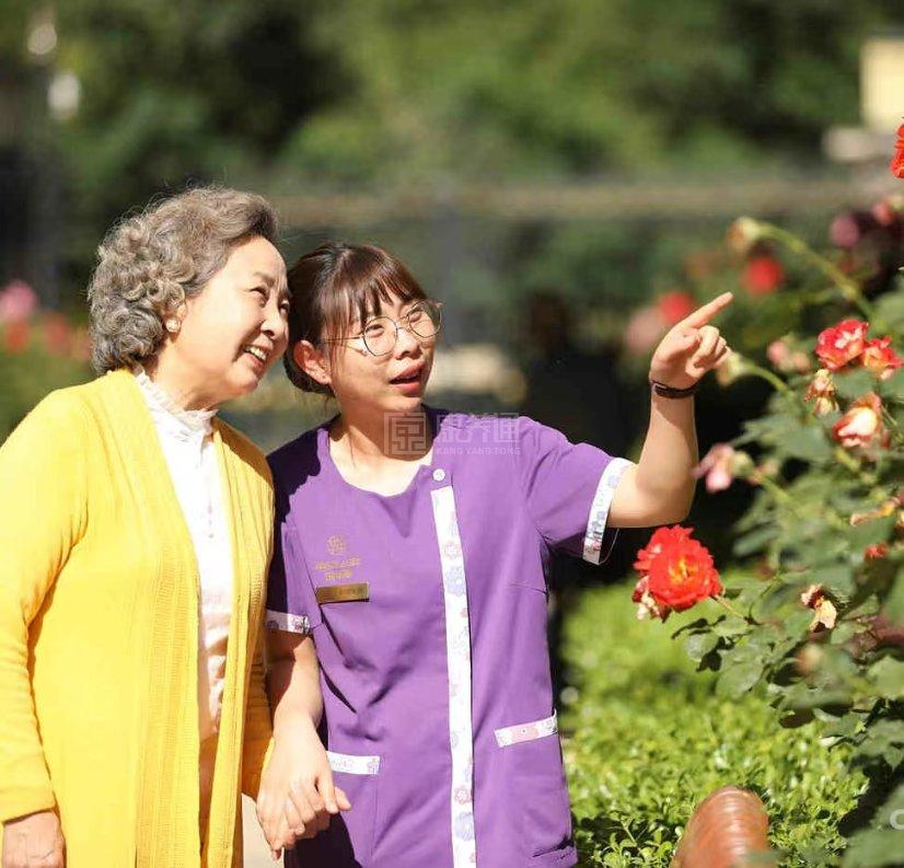 北京悦年华颐养中心服务项目图5专业的医护团队