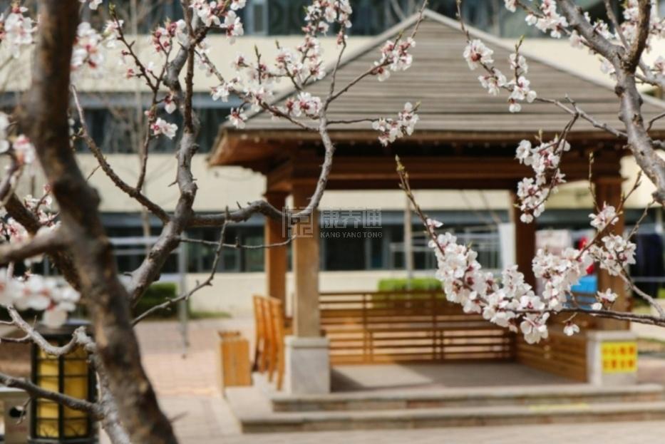 北京市朝阳区长友恒苑养老院环境图-亭院