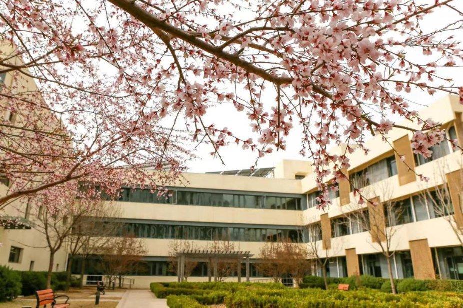 北京市朝阳区长友恒苑养老院服务项目图5户外活动