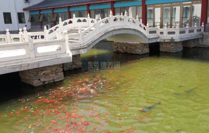 北京千禾十三陵院环境图-鱼池