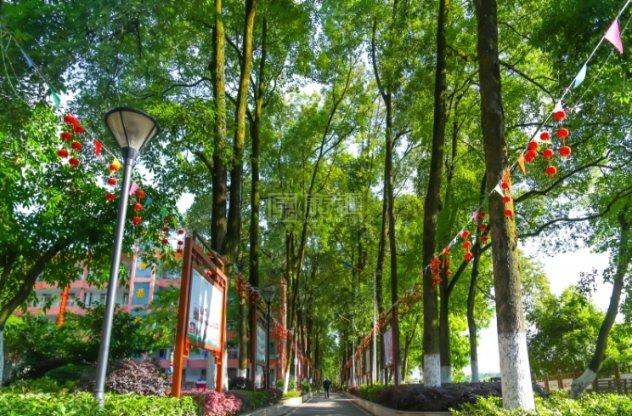 重庆市沙坪坝中颐歌乐山生态颐养院环境图-庭院