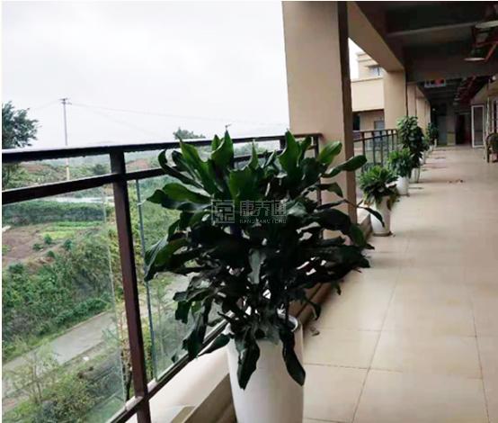 重庆合展至善老年护养中心环境图-走廊