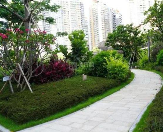 前海人寿幸福之家养老院环境图-花园