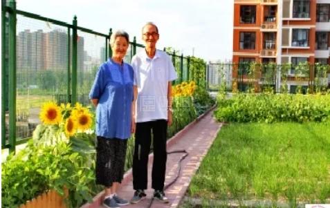 北京龙振养老小关老年家园服务项目图2空中花园