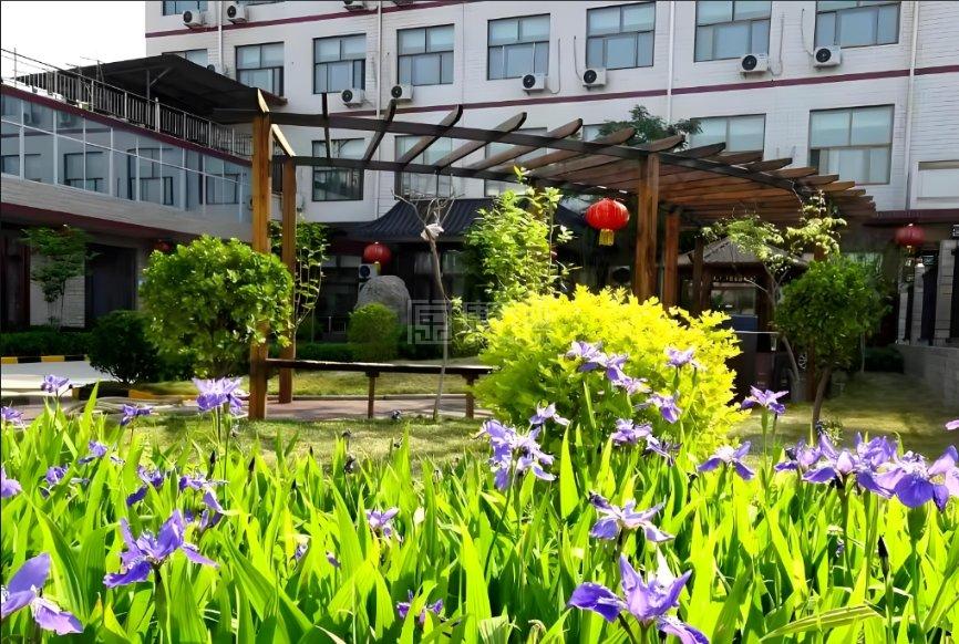 怡福苑老年公寓环境图-庭院