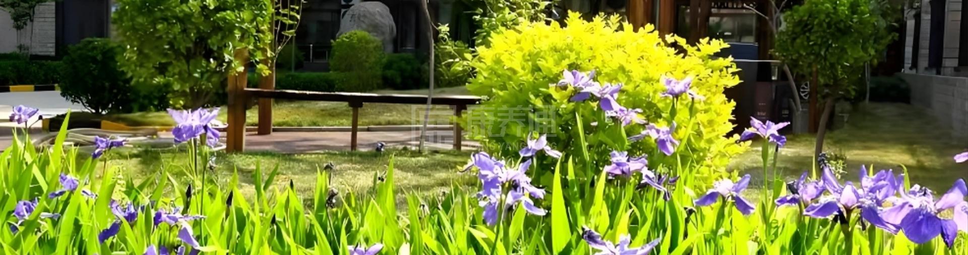 怡福苑老年公寓轮播图1