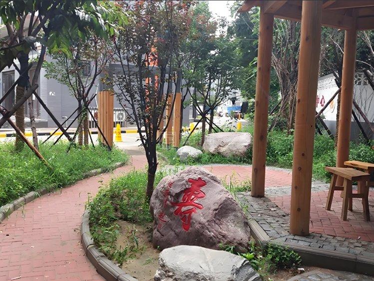 河南陶然养老院环境图-庭院