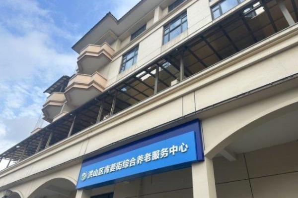 武汉青菱街综合养老服务中心机构封面