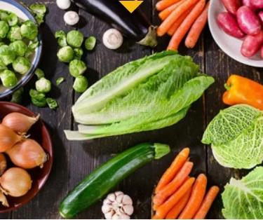 武汉福康养老院服务项目图1营养膳食