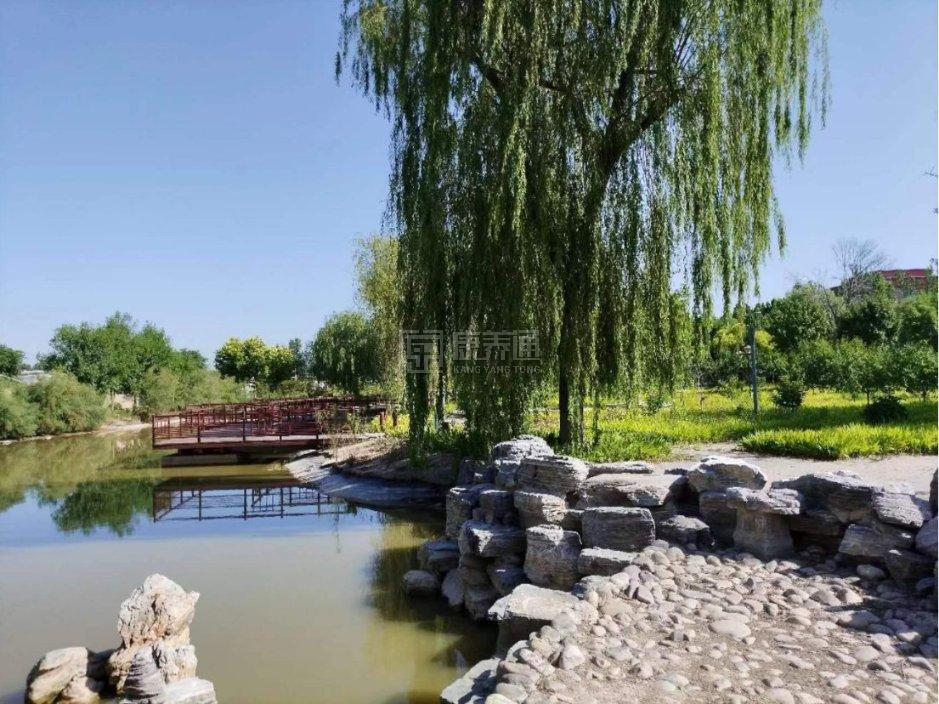 知护国际颐养中心顺义环境图-河畔