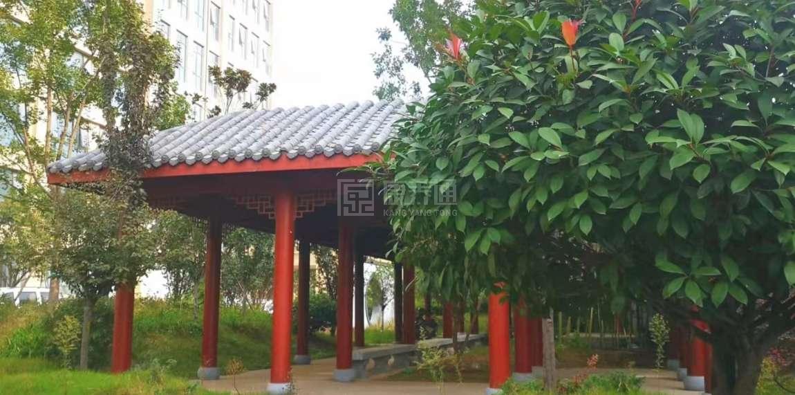 河南福悦养乐园环境图-庭院
