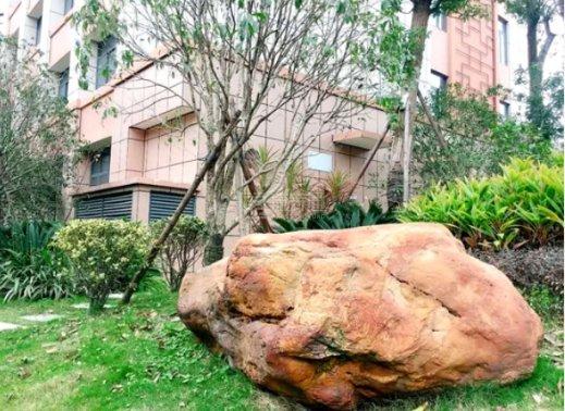 国德老年康养中心服务项目图6室外景观