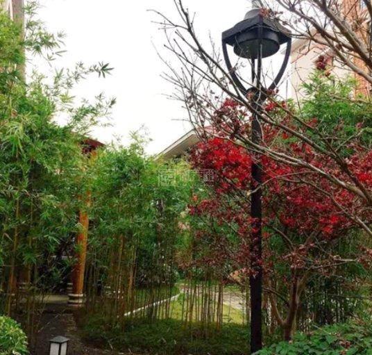 国德老年康养中心服务项目图4室外