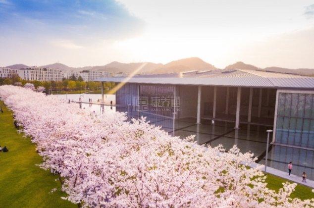 玉鸟随园嘉树养老社区服务项目图2花园社区