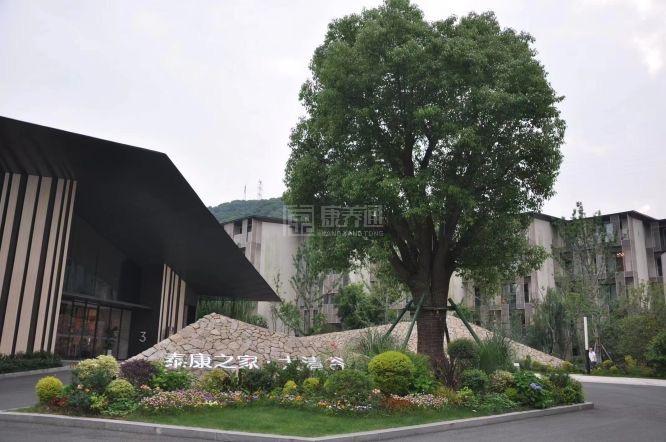 泰康之家·大清谷环境图-外景