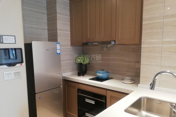 富力颐安·广州国际颐养社区环境图-厨房