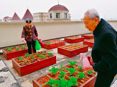 湖南阿默健康养老服务有限公司环境图-空中花园