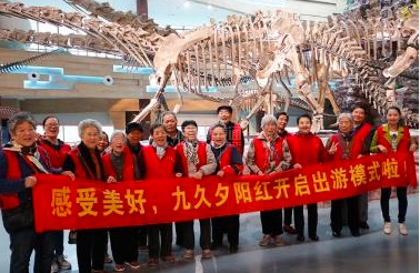 合肥九久夕阳红老年城服务项目图5活动