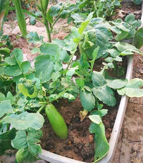 福乐居敬老院关于我们-轮播图3