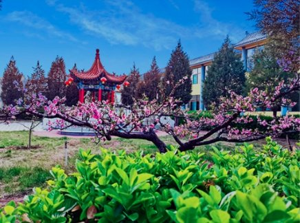 福乐居敬老院环境图-庭院