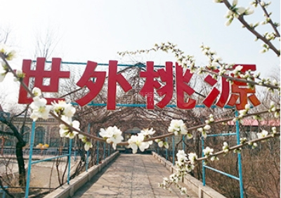 沈阳世外桃园老年养护中心关于我们-轮播图1