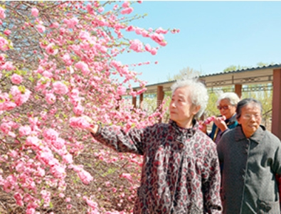 沈阳世外桃园老年养护中心服务项目图1风景如画