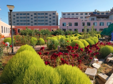 龙馨老年公寓环境图-户外