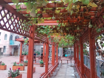 龙馨老年公寓环境图-连廊