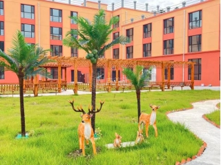 八五四老年养护院环境图-庭院