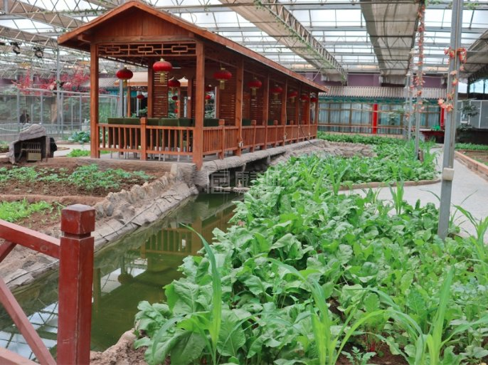 瑞源康养老年公寓环境图-田园